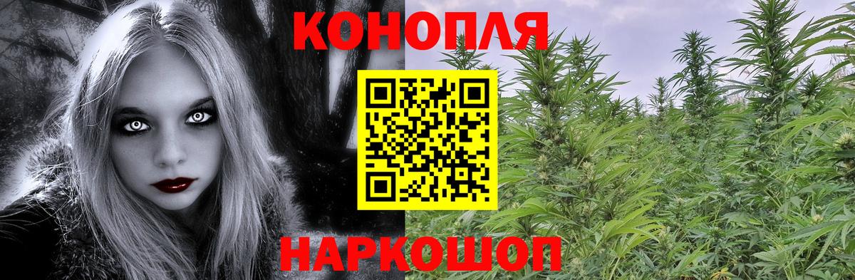 Шишки марихуана White Widow Выкса